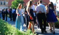 DSC 0217